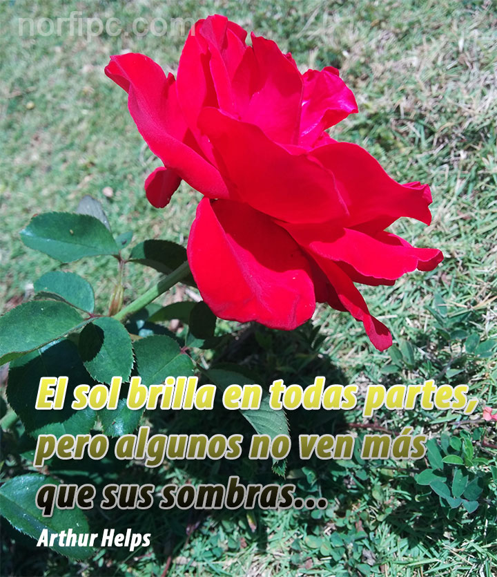 FrasesDeAmor on Twitter: 