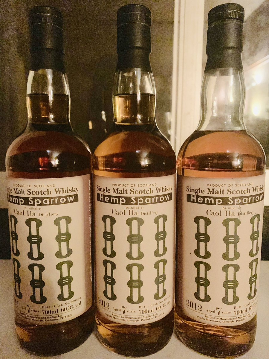 新しい ヘンプスパロー 六索 カリラ 2012 tdh-latinoamerica.de