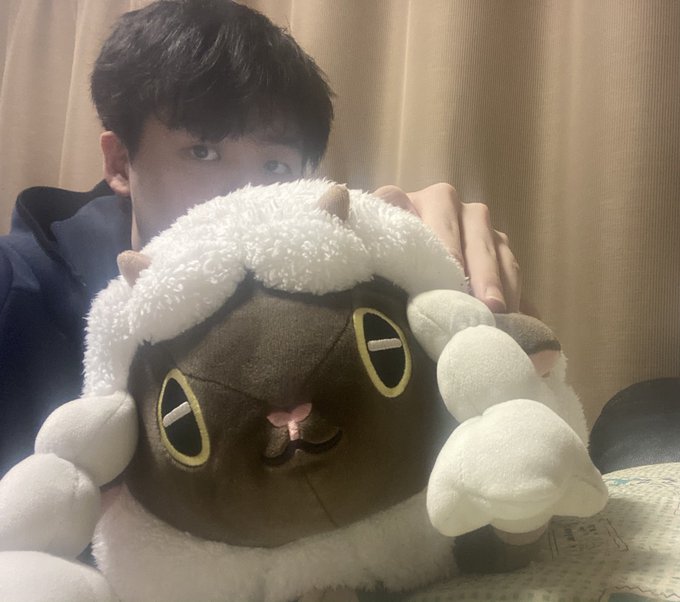 アイコンと中の人の写真貼るとrtといいねブワアアァって伸びると思わないのでぬいぐるみを添えますのtwitterイラスト検索結果