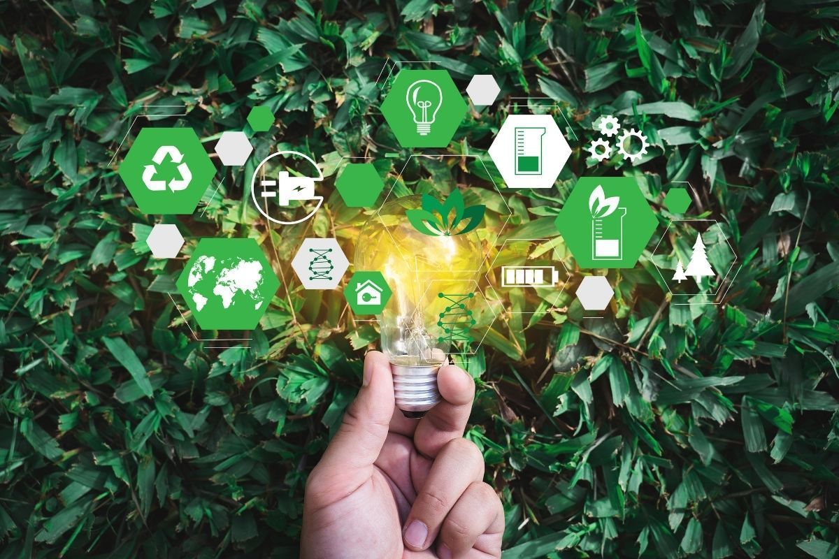 5 ways to make your online business eco-friendly:

🍃 Switch to a green web host
🍃 Optimise your site
🍃 Encourage customers to be more conscious
🍃 Talk about and promote sustainability
🍃 Invest in local eco-friendly initiatives or donate some profits to a sustainable charity