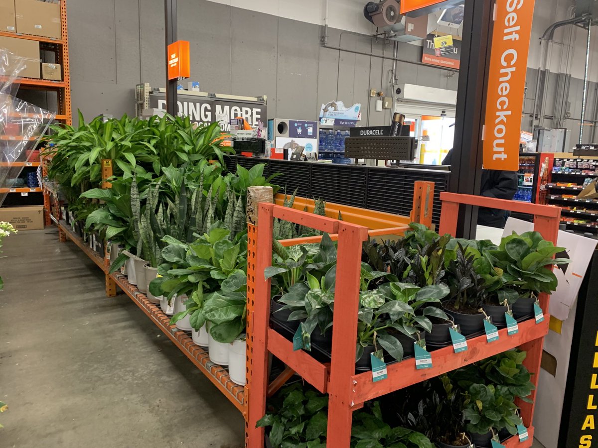 John Coleman (@johncoleman054) on Twitter photo Thank you, Ron <a href="/CostaFarms/">Costa Farms</a> presentation is grand opening ready!! <a href="/maryanne_stl/">Maryanne St. Laurent</a> Thank you, Ron <a href="/CostaFarms/">Costa Farms</a> presentation is grand opening ready!! <a href="/maryanne_stl/">Maryanne St. Laurent</a>