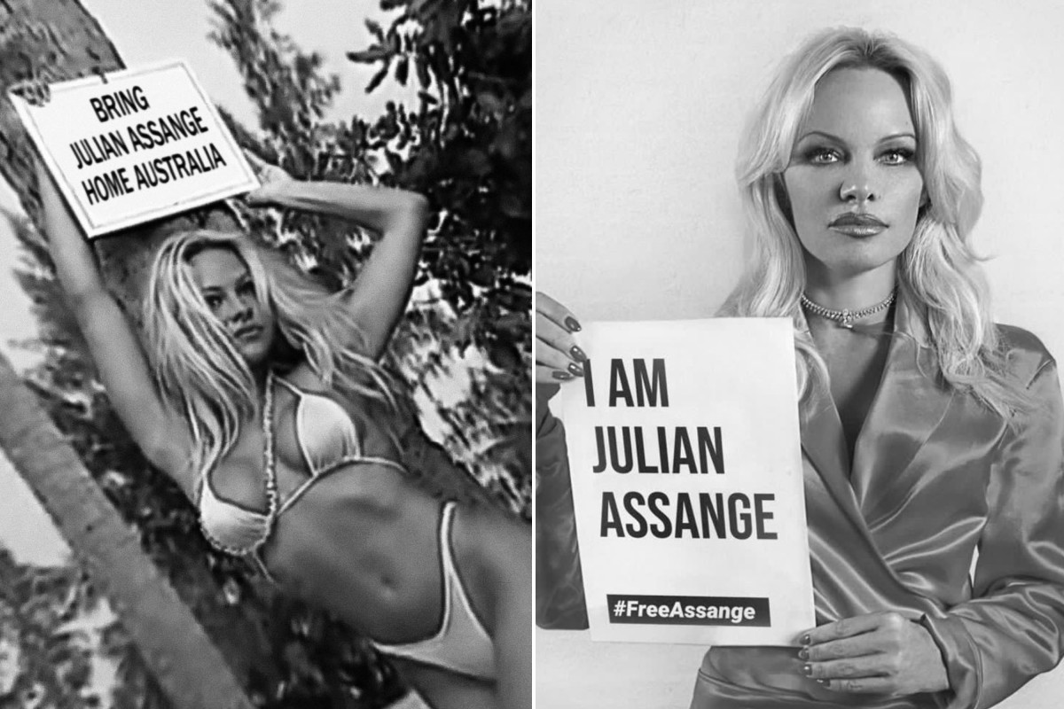 Pamela Anderson uses bikini pic to lobby Trump to free Julian Assange