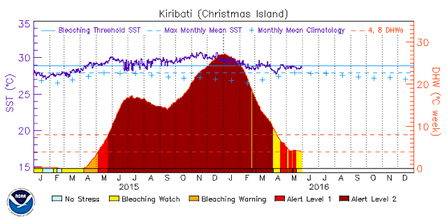 2/10 We ( @ClaarDanielle  @Tietjenk) tracked individual corals on Kiritimati through a tropical heatwave of unprecedented duration. The heatwave was triggered by the 2015-2016 El Niño, which caused the 3rd ever global coral bleaching event. Kiritimati was its epicentre: