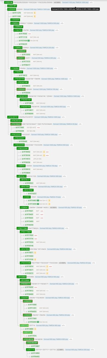 نتيجة طيبة من سلالة كريمة  شكرا ً لكم ولجهودكم ،، هذا  التحور  كلابي عامري هوازني يخص قبيلة العوازم بني عطاء الكلابيين 

J1-FGC22250-
ZS5199
 -ZS5198

وهي أكبر قبيلة متكتلة أسفل التحور العامري الهوزاني  FGC2