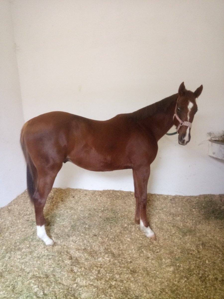 #Melisa sana zahmet babanı ayıktır. Bineklere başlamış. Şunu satalım
Always presidant
Im jully
İsimsiz ona göre, sana kalmış artık #sihirliannem mi koyarsın. #survivor mı koyarsın. Sana kalmış