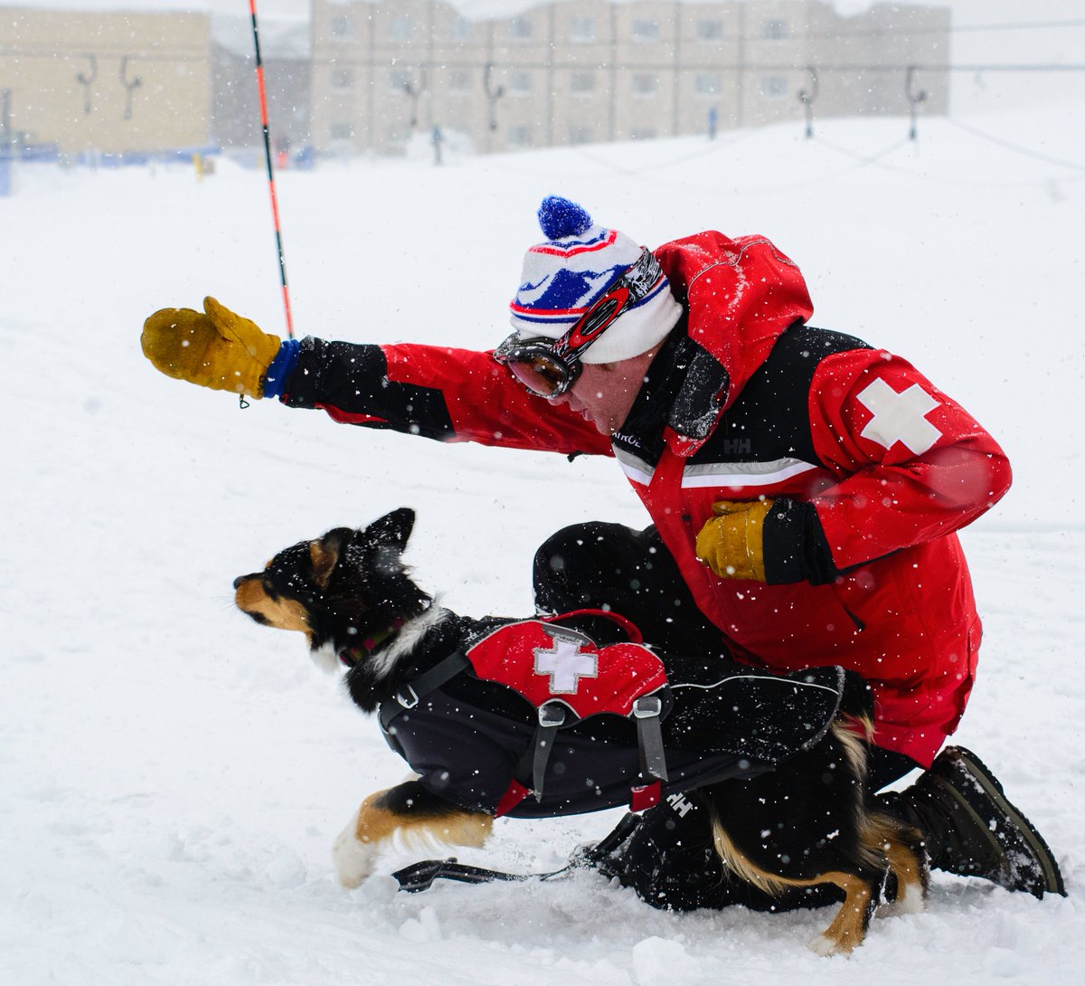 subaru_usa's tweet photo. We're stoked to celebrate our 25th year of partnership with @NatlSkiPatrol! Through Subaru's WinterFest opt-in program, we've donated over $40,000 towards avalanche dog training programs & scholarships. #kneedeepinwork 📸: @andreandthemountain, @scottbellow, @steven_binns https://t.co/un9tVT9UnK