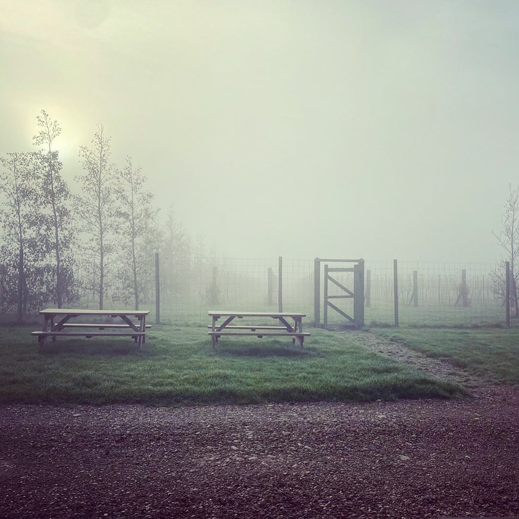 A very eerie start this morning #englishvineyard #englishwine #cotswolds #winteriscoming