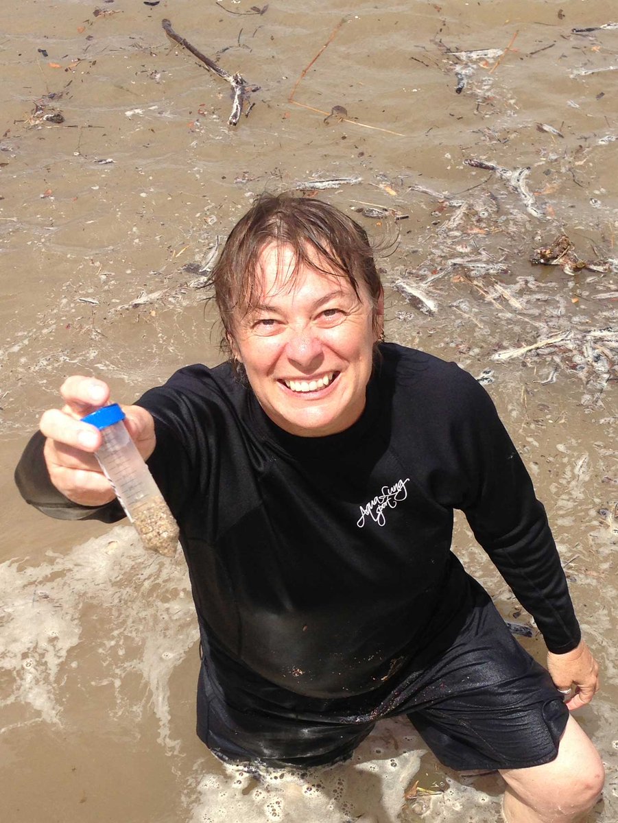 9/10 We also worked with an amazing international team of coral and climate experts, including our beloved former collaborator and friend Ruth Gates ( @RuthDGates), &  @coralprof  @jrcunning  @coralsncaves  @GatesCoralLab  @CoralReefFuture  @himb_soest  @UMiamiRSMAS Thank you dream team!