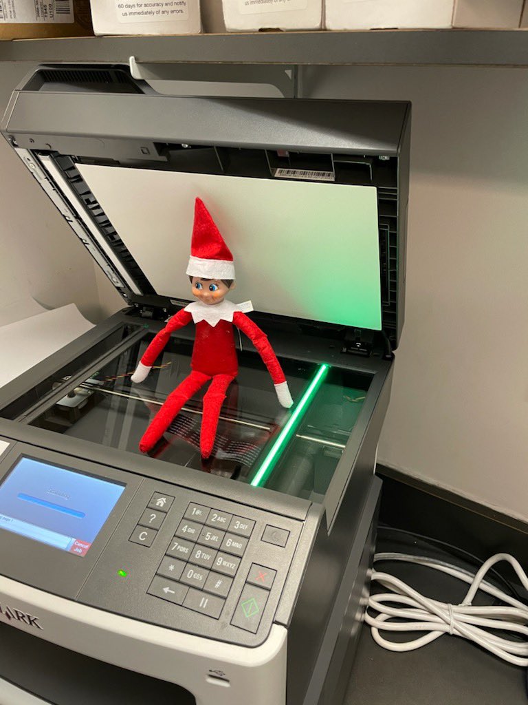 Carrie Lindsay tweet media