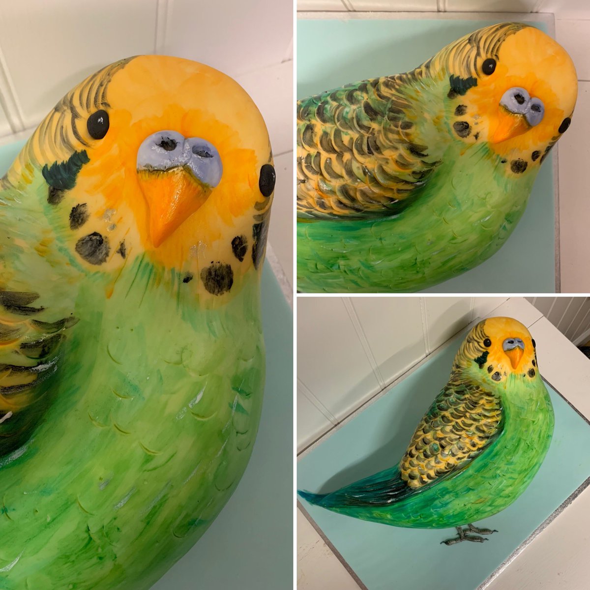 Budgie cake!! Loved doing this one #cake #cakes #birthdaycake #paintedcake #paintedbirthdaycake #handpaintedcake #handpaintedbirthdaycake #budgiecake #budgiebirthdaycake #greatbardfield #greatbardfieldbaker #greatbardfieldcakemaker #essexbaker #essexcakemaker