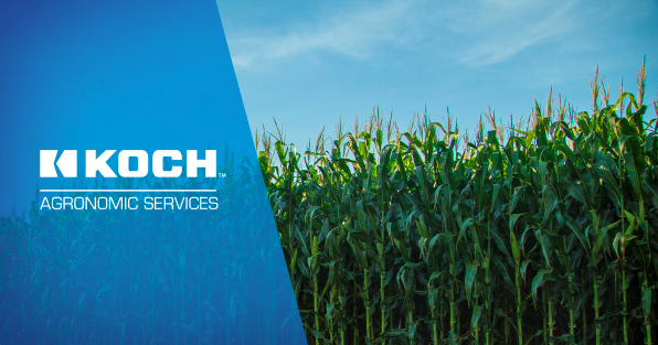 KochAgServices's tweet photo. #DidYouKnow: Depending on the soil type, nitrogen fertilizer is susceptible to losing more than 40% of its nitrogen? As you place your prepay orders, ask your ag rep about protecting your investment with a nitrogen stabilizer. https://t.co/uu61aZ4IOp https://t.co/0WukIZ9MHI