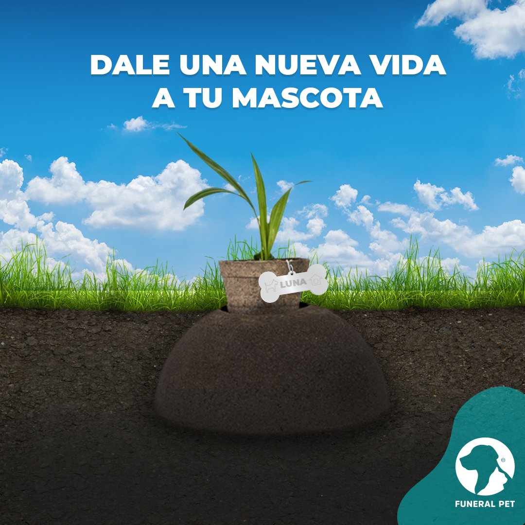 funeralpetmx's tweet photo. Despídete de tu amigo de 4 patas de forma memorable, dale una nueva vida en #BosqueAlma y ayuda a reforestar nuestra ciudad. 🐾 Con nuestras urnas ecológicas transforma sus cenizas en un árbol. 🌳
Descubre cómo en https://t.co/srWhrRdPMO https://t.co/I2HBrW1SQn
