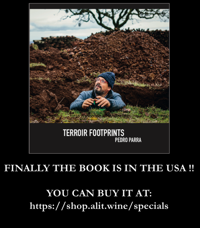 conce es fome tweet media