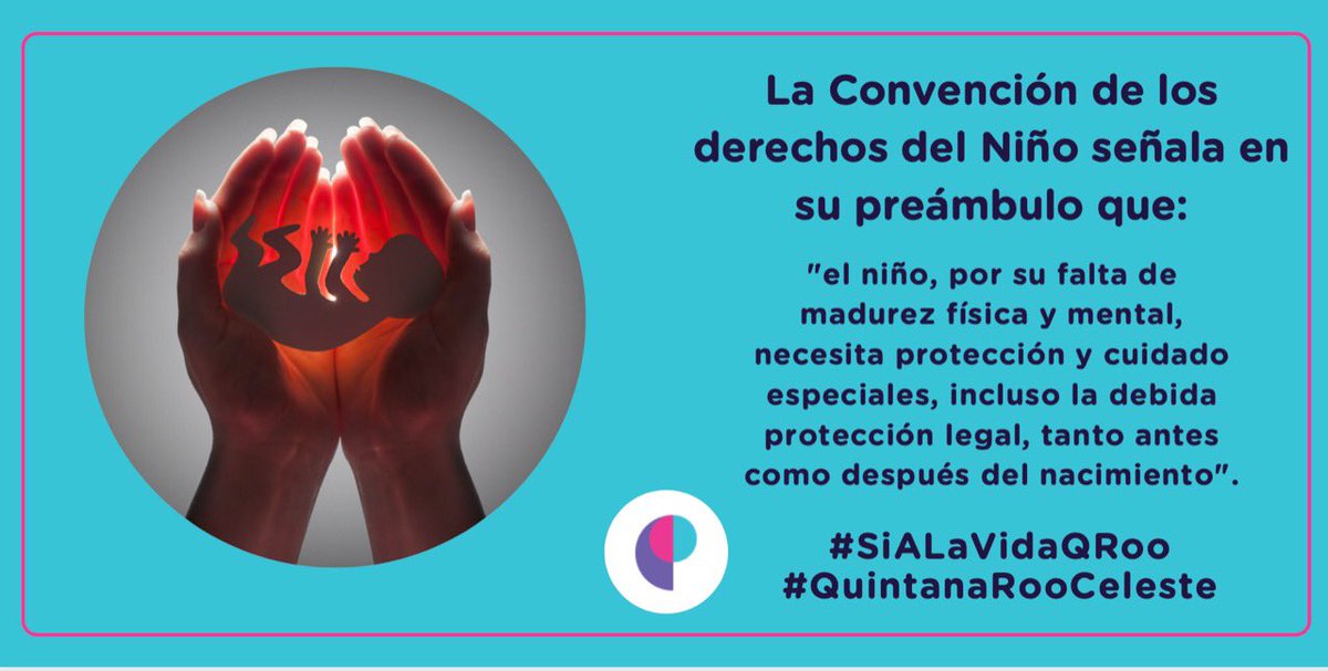 AleYaRu's tweet photo. @CongresoQRoo
@edgar_gasca
@gusmirandag
@dip_judith_rod
@Dip_ReynaDuran
@LiliCamposM
@Atenea_GomezR
@AnaPamplonaR
@CarlosHndzB
@edumarci
@_ErikaCastillo
@TepyGV
@albertobatun_ 
#SiALaVidaQRoo
#QuintanaRooCeleste https://t.co/JK95szuFN4