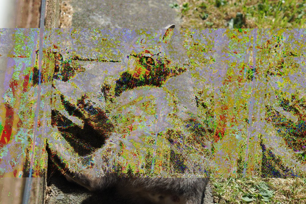 And now with the echo effect. You can see some "echoing" or repetition of the pixels in some parts