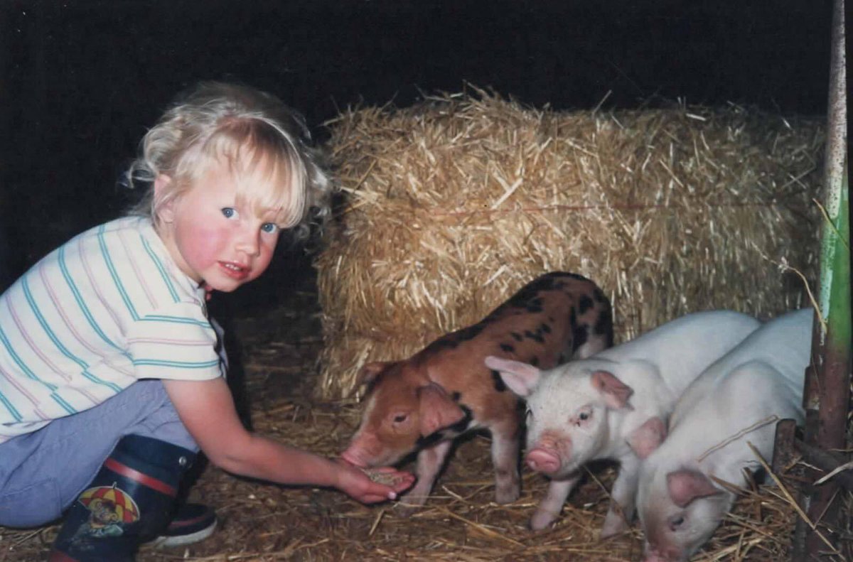 My wife  @RanaeDietzel grew up on a small farm near Radcliffe, IA (20 miles from here). Her parents have 2 1100-head hog finishing barns, 20 acres of pasture, and about 8 acres of hay.