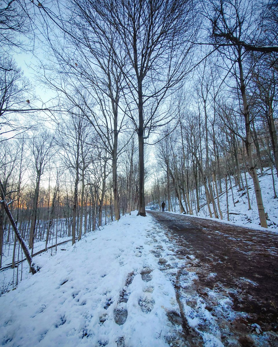 CLIMBHamilton's tweet image. The snow may have melted but the cold is here to stay. Let's face it though, you'll be sweating anyway &amp;amp; it's still warmer than real Everest.

Summit #EverestInHamont with us until Dec 31, climb out of 2020 &amp;amp; support initiatives in our community.
climbhamilton.com
#hamont