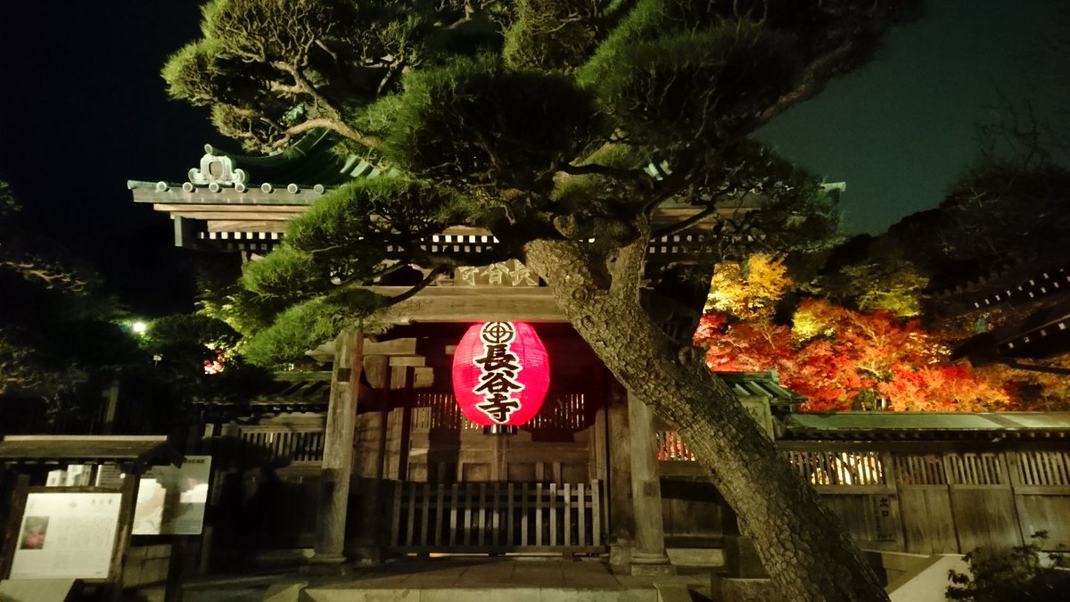 くろねこカイト 長谷寺 の紅葉 ライトアップ 神奈川県鎌倉市 長谷寺 お寺 紅葉寺 Japanesetemple 紅葉 紅葉狩り 紅葉スポット もみじ もみじ狩り Autumnfalls Autumnleaves 風景 風景写真 日本の風景 写活 写真で伝えたい私の世界 くろねこカイト 長谷寺 の紅葉 ライトアップ 神奈川県鎌倉市 長谷寺 お寺 紅葉寺 Japanesetemple 紅葉 紅葉狩り 紅葉スポット もみじ もみじ狩り Autumnfalls Autumnleaves 風景 風景写真 日本の風景 写活 写真で伝えたい私の世界