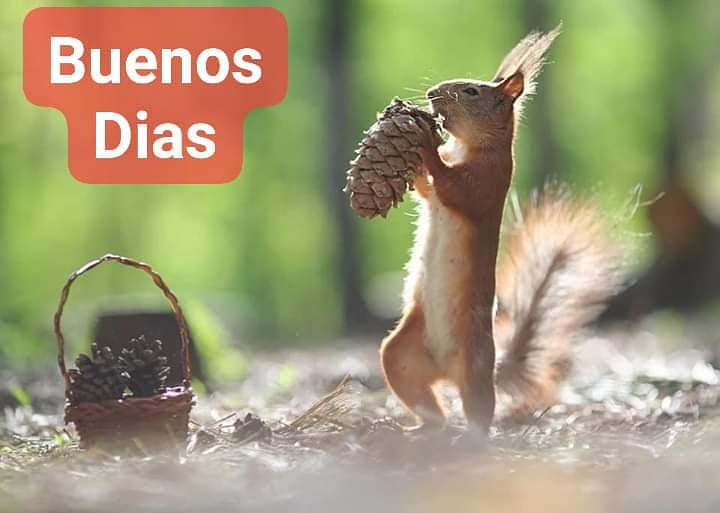 Cartomancia_sowelu (@csowelu) on Twitter photo 