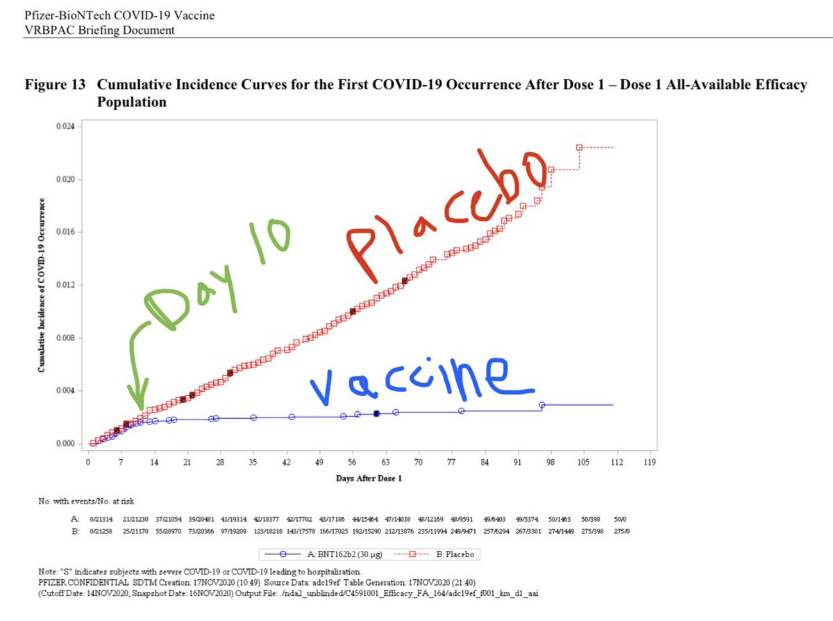 2) “New coronavirus cases quickly tapered off in the vaccinated group of volunteers about 10 days after the first dose, according to one graph in the briefing materials. In the placebo group, cases kept steadily increasing.”See figure I dug up and labeled: