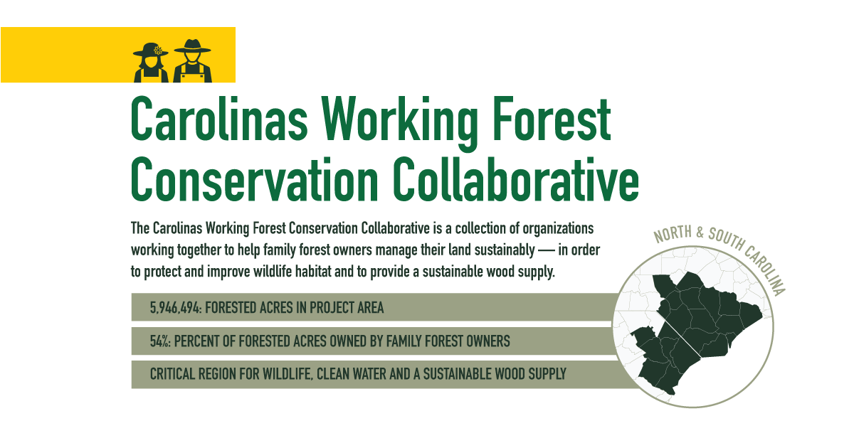 IntlPaperCo's tweet image. We're part of @AmForestFndn's Carolinas Working Forest Conservation Collaborative working to help family forest owners manage their land sustainably. #SustainingForests #TheIPWayForward

Learn about our collaboration here: bit.ly/2HExQKU