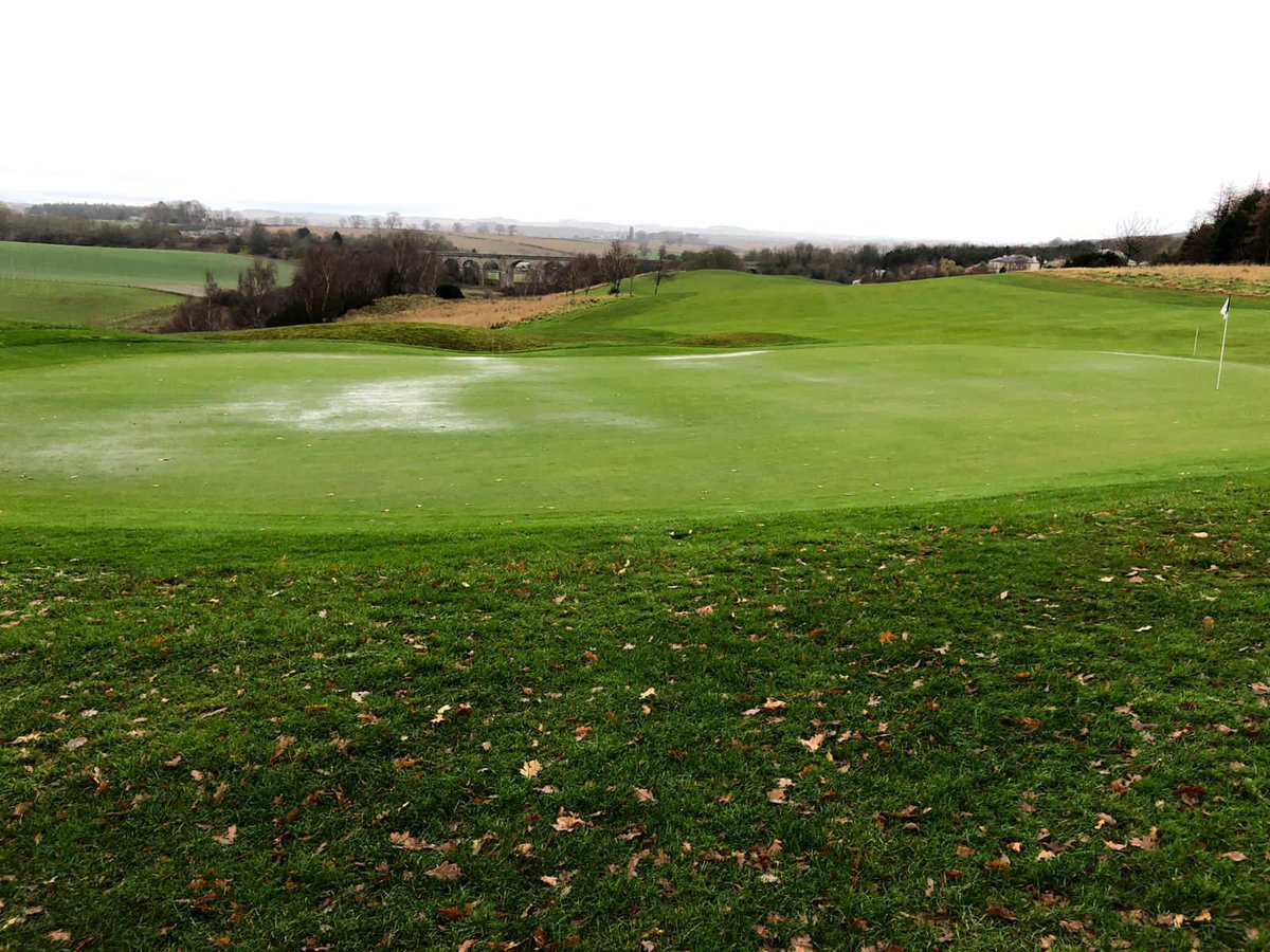 98Angus's tweet image. 30 minutes between each photo. Verti drain doing wonders 👏🏻