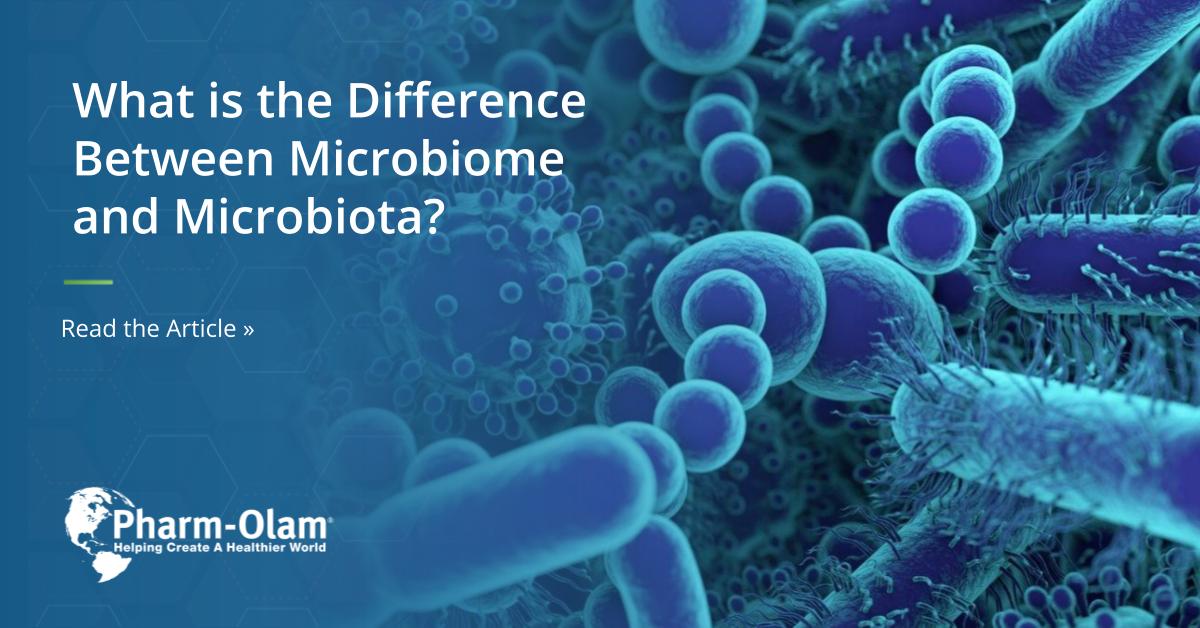 What is the Difference Between Microbiome and Microbiota?  - This article reviews the vocabulary related to the body’s microbial communities and explains how the terms differ from one another. #cro #microbiomeresearch #microbiotaresearch
hubs.li/H0Cc1hH0