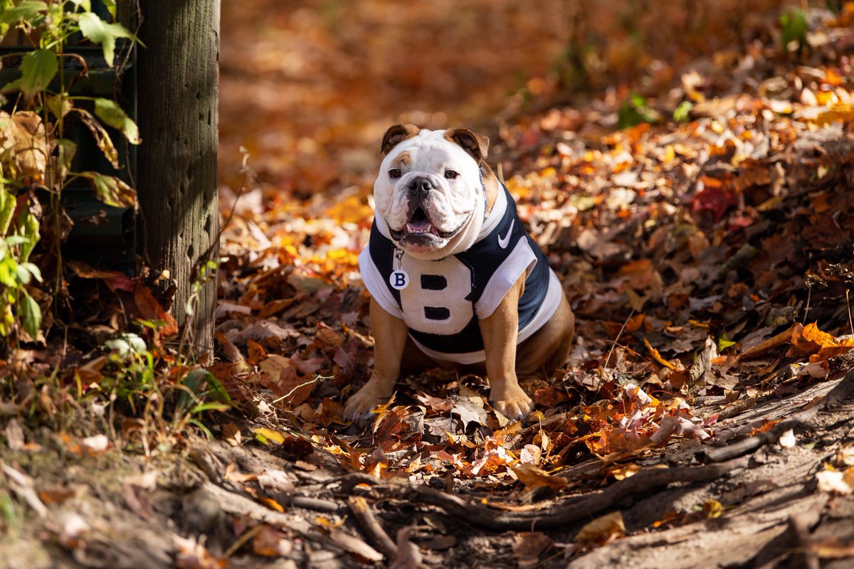 TheButlerBlue's tweet photo. Last day of finals! Finish strong, my Dawgs! 🐶💙 https://t.co/441hc590MA