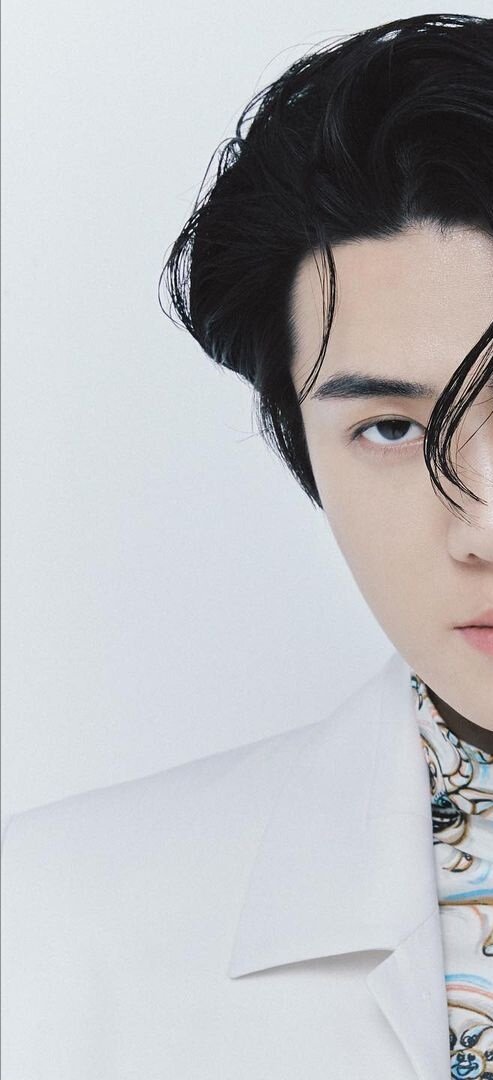 oohxunlu's tweet photo. he's doing the one-face-two-emotions frame again and he owns it. best visual = oh sehun

#SEHUNxDIORMen
#SEHUN #세훈 #엑소세훈 https://t.co/KKsqp2GfwG
