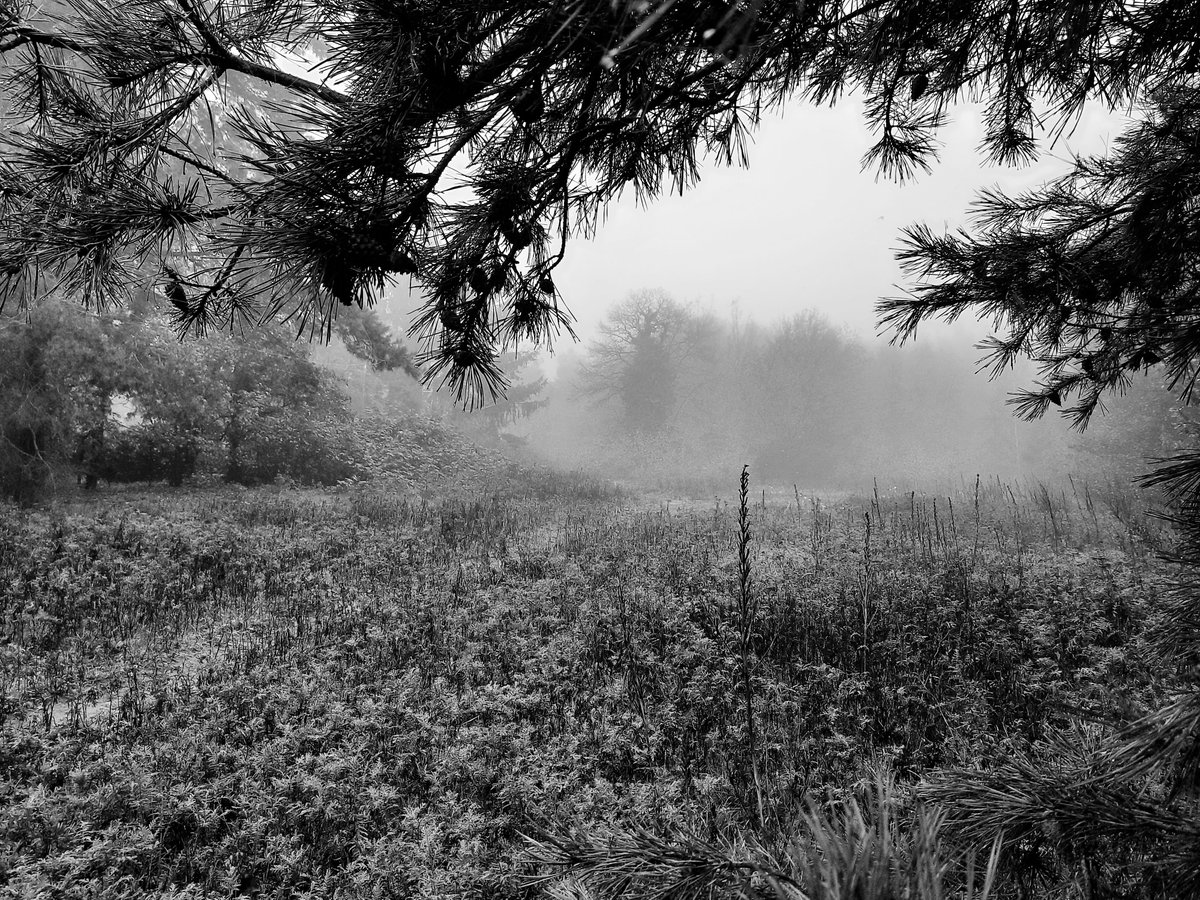 Mijn hart is gebroken 💔 Na op 10 oktober jongstleden mijn papa te hebben verloren, is gisteravond totaal onverwacht mijn mama overleden.. Ben er kapot van 😪