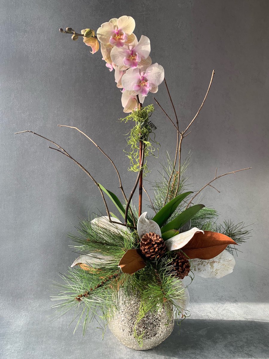 AlexanderDoux's tweet photo. “Winter Elegance” 

https://t.co/xLehjK6QF9

#alexanderdoux #atlanta #buckhead #christmas #floraldesign #florist #flowers #forflowerlovers #gift #giftideas #gold #handmade #hanukkah #holiday #holidayseason #love #nature #orchid #orchiddesign #phalaenopsis #plant #sparkle https://t.co/EWZGXLbO08