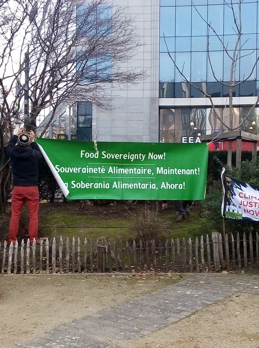 QuinoaAsbl's tweet photo. 🔴Ce matin, des centaines de bottes ont étaient disposées sur le rond point Schuman à #Bruxelles pour dire stop à une #Europe des lobbies et oui à la #FoodSovereignty ! 🔴
Les organisations y étaient nombreuses : @FIANbelgium, @SOSFAIM, @fugea, les Brigades d'action paysannes... https://t.co/zVYJyLdgcn