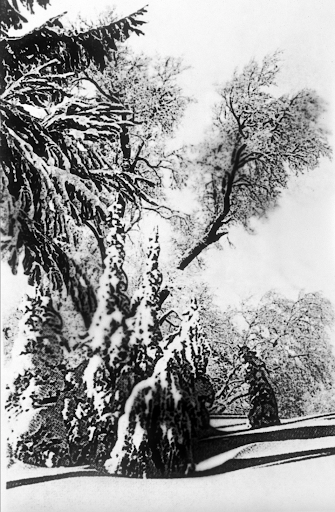ZuccaireGallery's tweet photo. We’re digging through our archives to highlight some of the artists, artwork, and exhibitions that have been at the Zuccaire Gallery. With winter approaching quickly, Lorna Bieber: TRACES, displayed four years ago, gives us some lovely winter sceneries! https://t.co/GQKaPIehe7