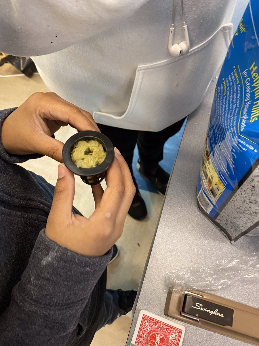 cmsap1's tweet image. 6th grade science class @cmshappenings planting seeds and measuring growth with Mr. Nelson!
#cmsrocks #gosharks