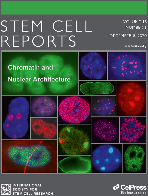 Here's a sneak preview of the cover we designed for the special issue of @stemcellreports! Coming out later today!