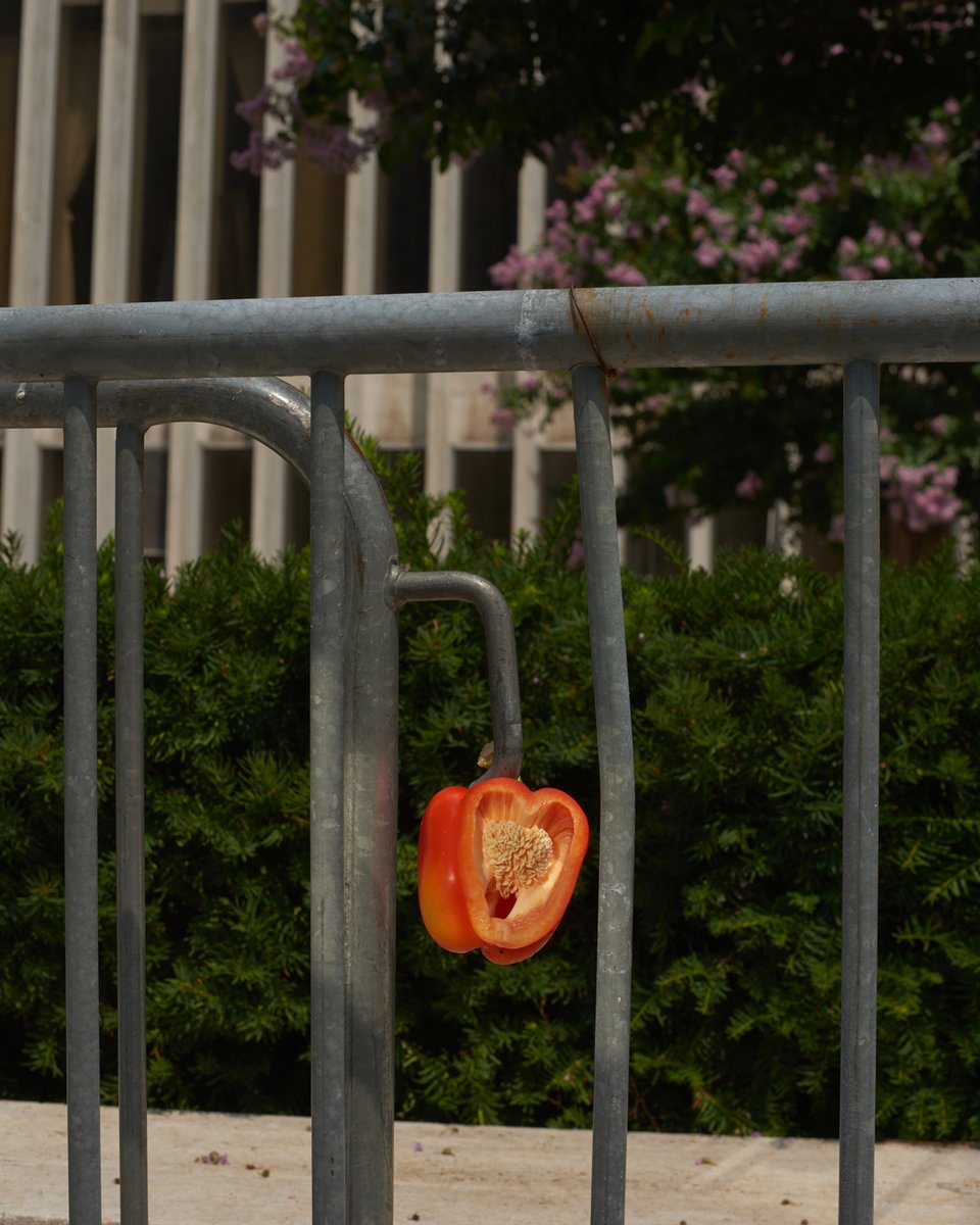 Red pepper hanging out near Lincoln Center.