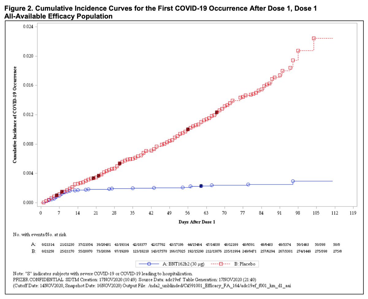 Vaccine curves for placebo and vaccine arms, showing clear divergence between the two groups at approximately 2 weeks after first vaccine dose.