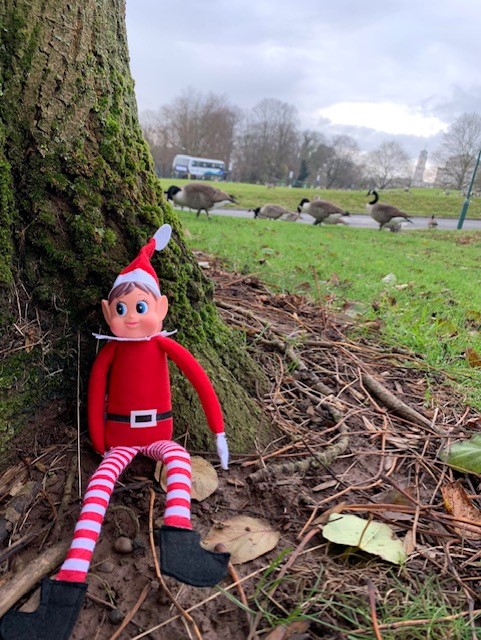 EstatesLoveFun's tweet photo. Hiding from the geese on Uni Park #E.L.F #hideandseek #naughtyelf #elfonashelf2020 https://t.co/zw2QpUZmA4