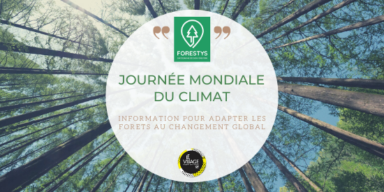 ALRobertCal's tweet photo. RT @VillagebyCA_LOR 
La #JournéeMondialeDuClimat est l'occasion de valoriser le savoir-faire de #FORESTYS - startup @VillagebyCA_LOR - qui propose de l'information cartographique pour faire face au changement global.
ℹ️ https://t.co/Fb8JShJPa5 https://t.co/eTb6KsDSY5
