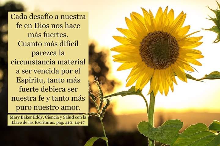 olivas_car's tweet photo. "Cada desafío a nuestra fe en Dios nos hace más fuertes. Cuanto más difícil parezca la circunstancia material a ser vencida por el Espíritu, tanto más fuerte debieraser nuestra fe y tanto más puro nuestro amor."
Mary Baker Eddy, Ciencia y Salud, 410
#perseverancia #amor #certeza https://t.co/goGx2m1ZW4