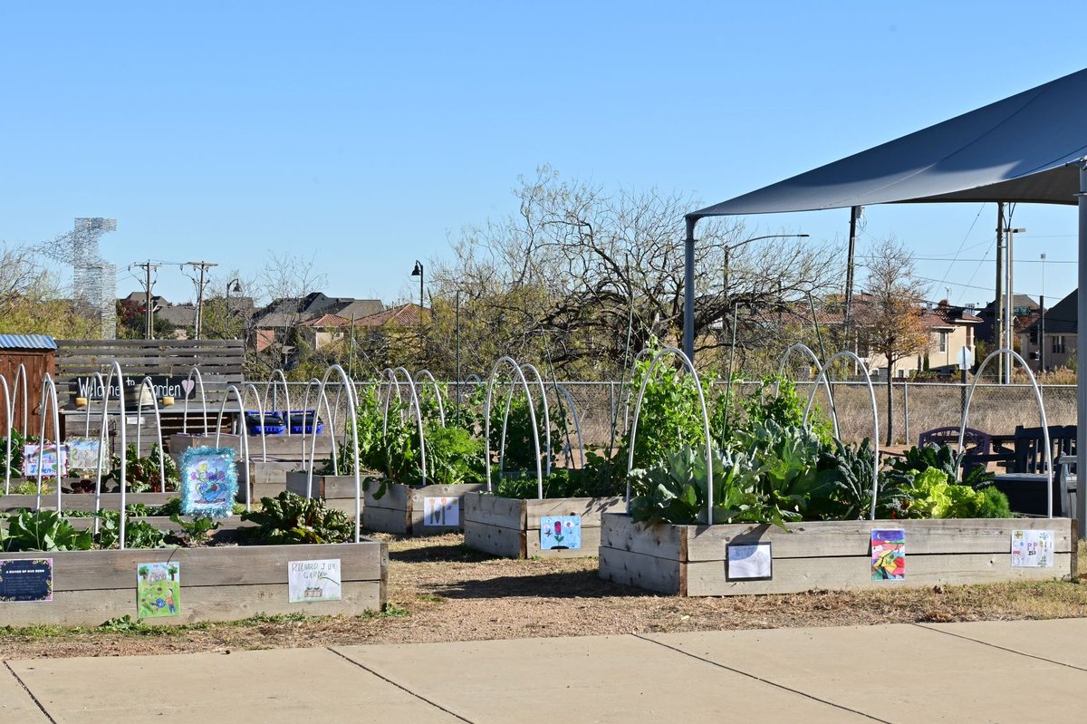 keikoroann's tweet photo. The 3 bed signs are shining in the garden!☀️Thank you FamiLEEs for participating in the Garden Design Project! We will keep collecting bed names and drawings. I can't wait to display more beautiful works🎨in the garden! @NetZeroLee @Naokomaki3 #BetterTogether #schoolgarden https://t.co/L0tXYaGBQb