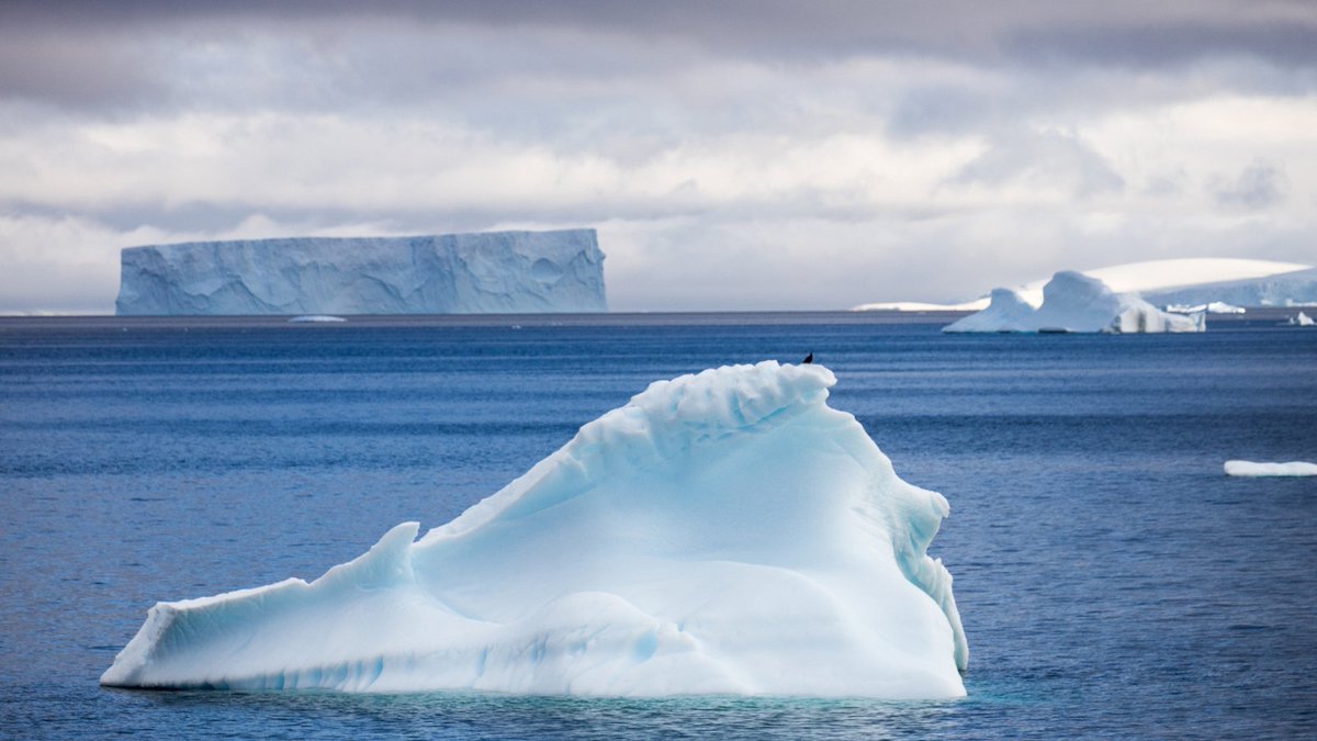 drvickip's tweet image. Inspired by her travels to the Arctic, #NatGeoCertified educator Jennie Warmouth shares how young people can use local experiences with nature to spark empathy for our planet on a global scale. #ThatsGeography #GTFurther @LindbladExp @TheFrontOnline bit.ly/3gpcZbn