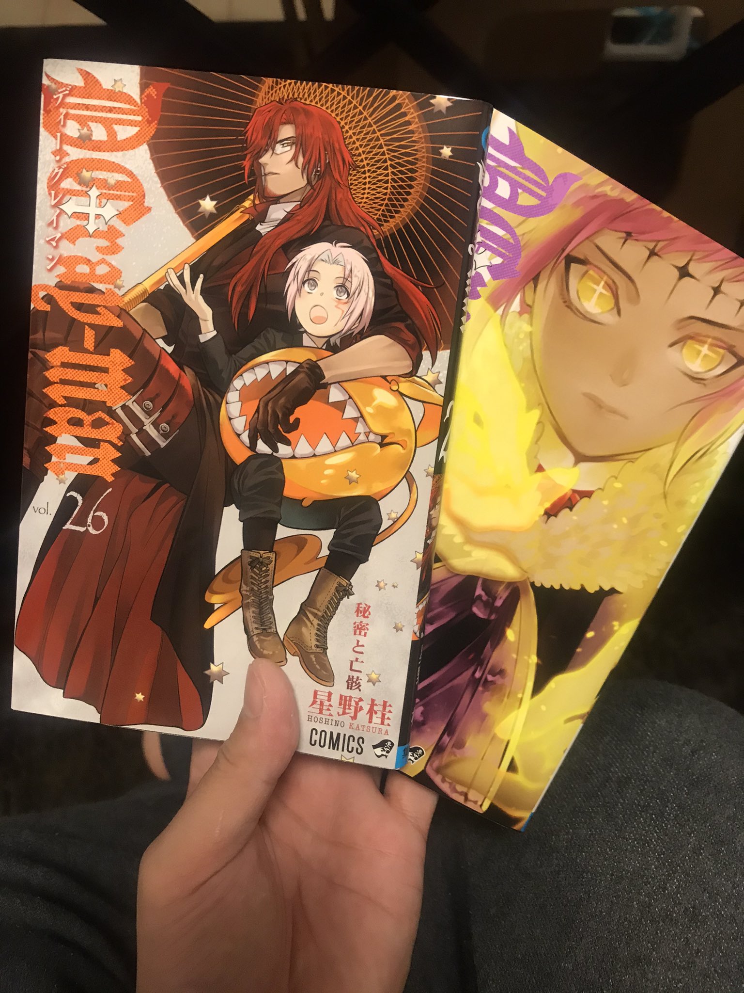 小泉賢司 スポーツ キャリア على تويتر ディーグレイマンが新刊出してたことを全く把握しておらず 今更ですが購入 先日鬼滅の刃も全巻 購入したし 割と家に漫画揃ってる T Co Szgmb91hzu تويتر