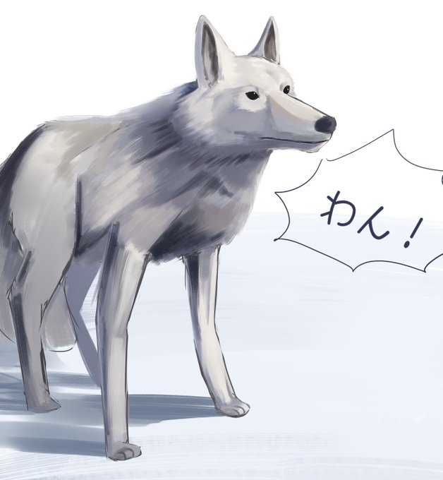 ⊂゜U┬───┬~ 