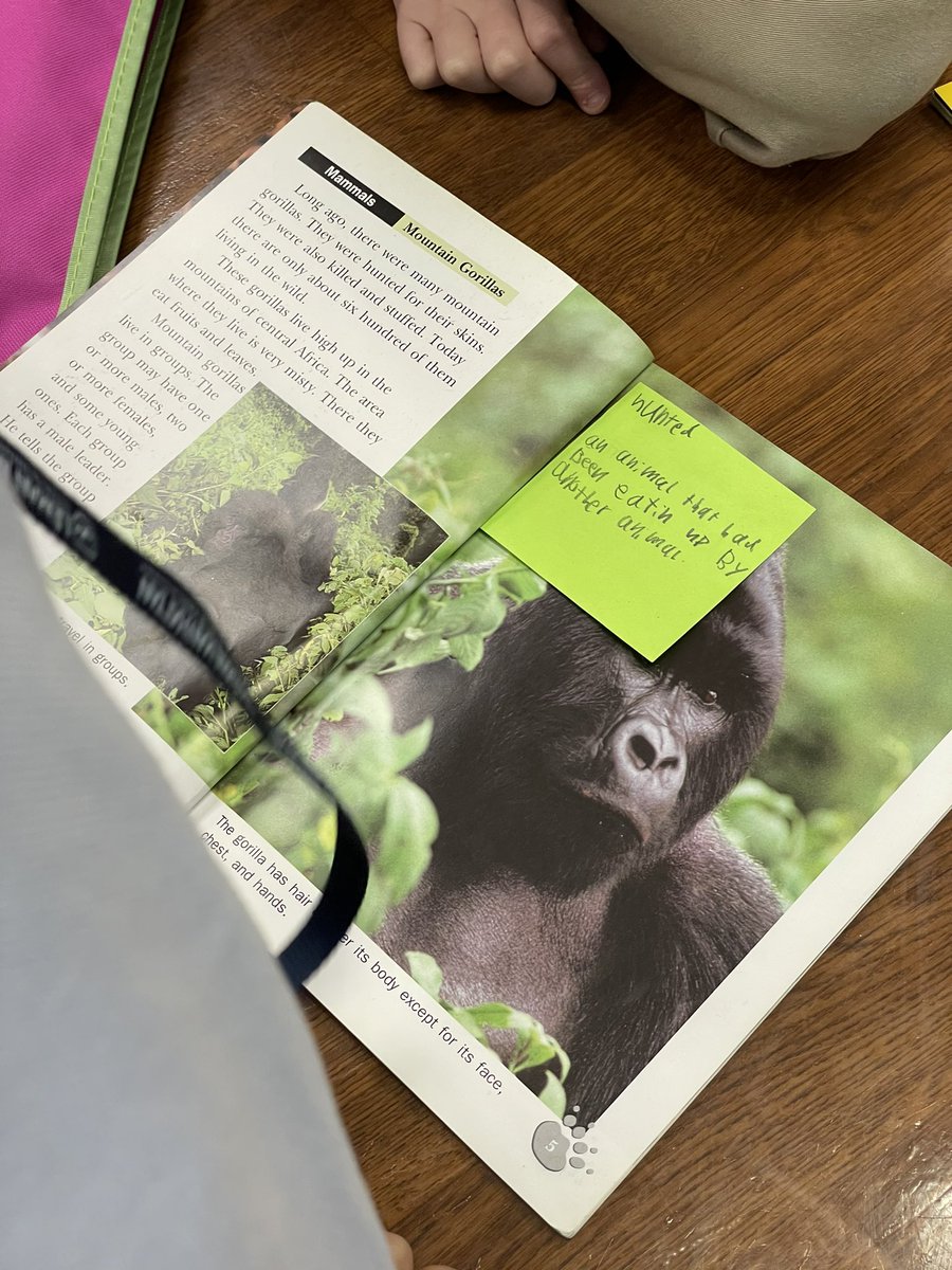2ndGrade508's tweet photo. Readers add text features to their books to help themselves and future readers understand the key words! https://t.co/JW9G8xOxxR