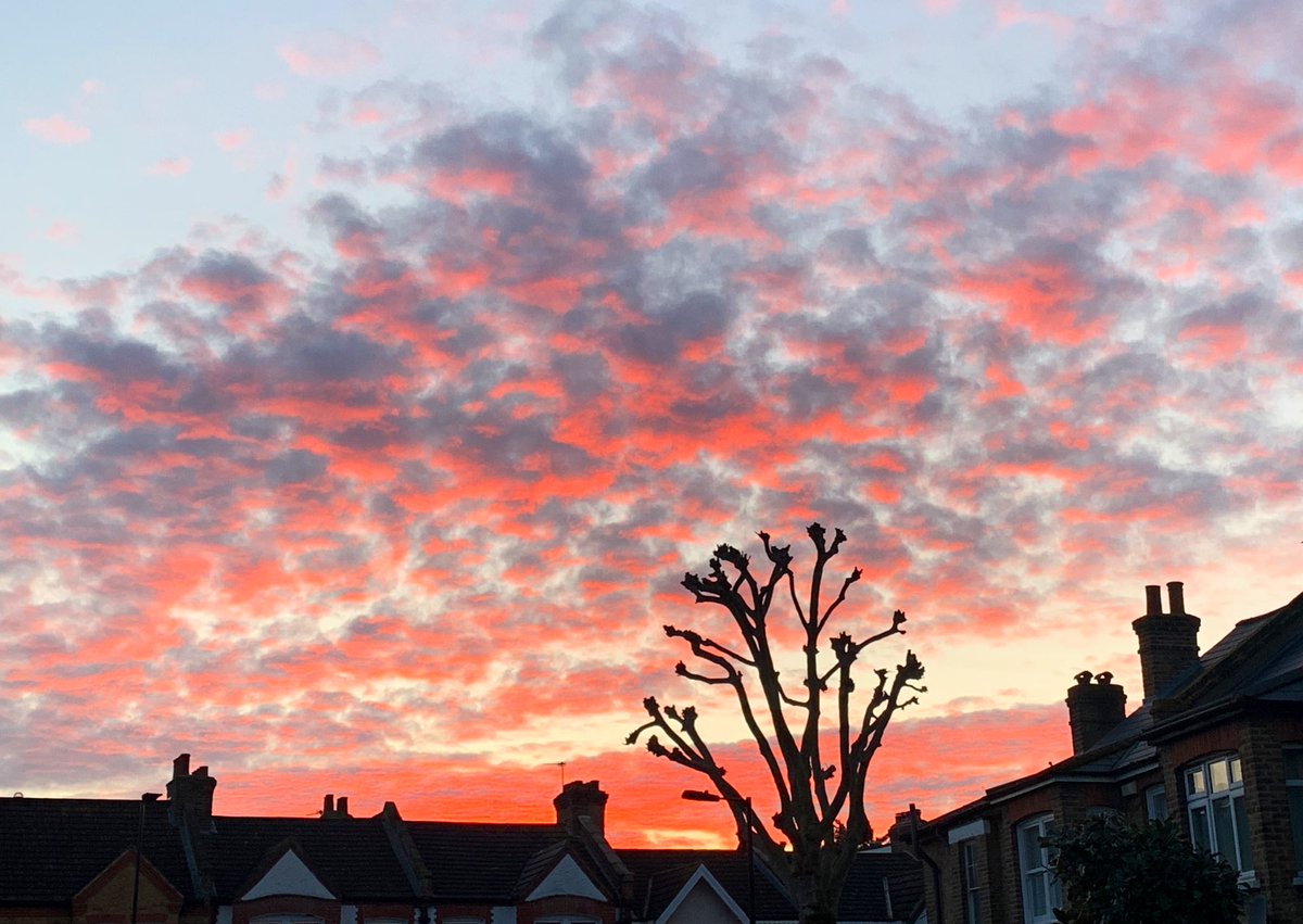 𝖸𝗈 𝖮𝗄𝖺𝖽𝖺 なんてきれいな茜雲 ロンドン散歩