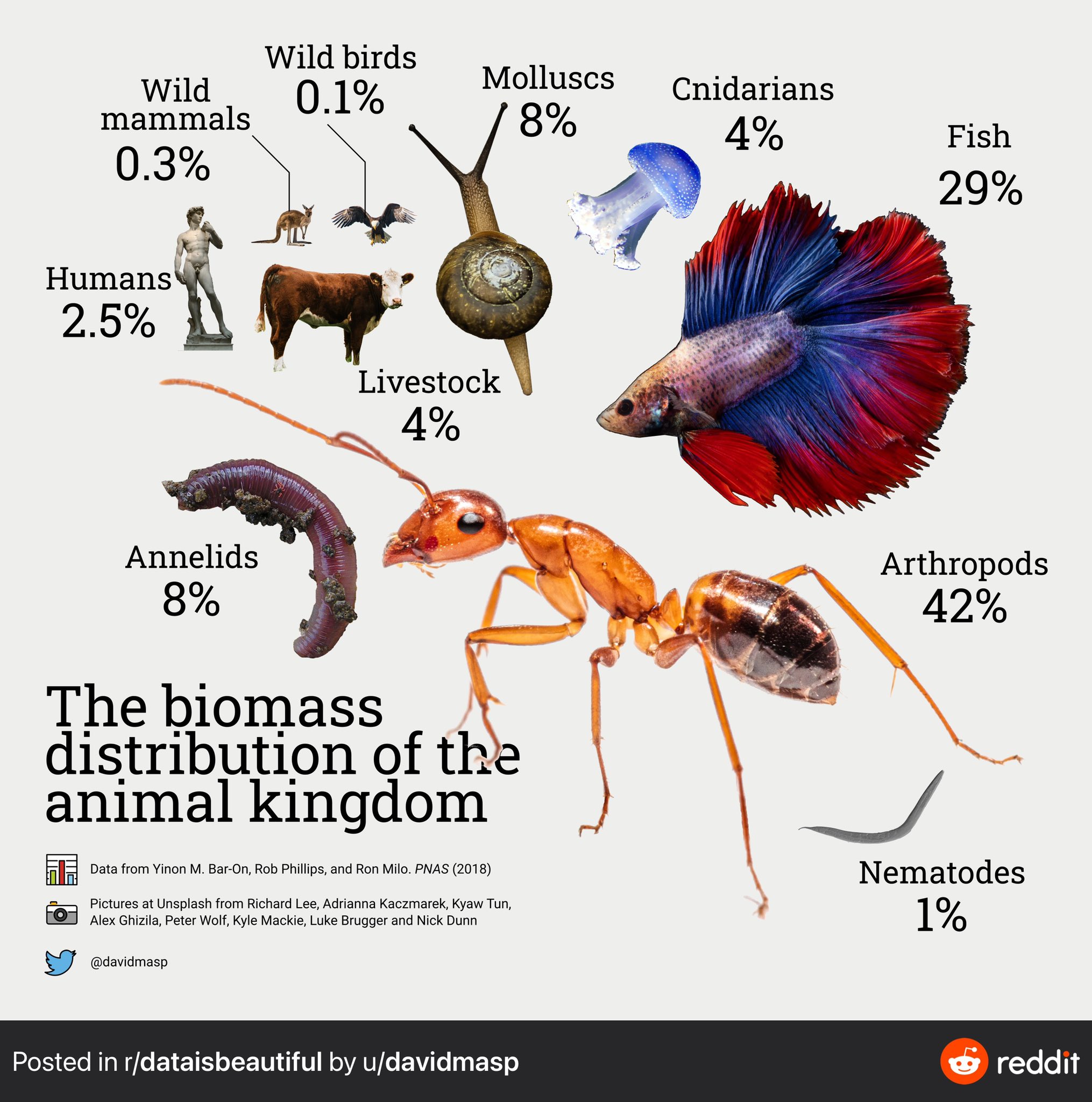 David Mas Ponte I Plotted The Biomass Distribution Of The Animal Kingdom Using Pictures Datascience Datavisualization T Co Endxjscei0 Twitter