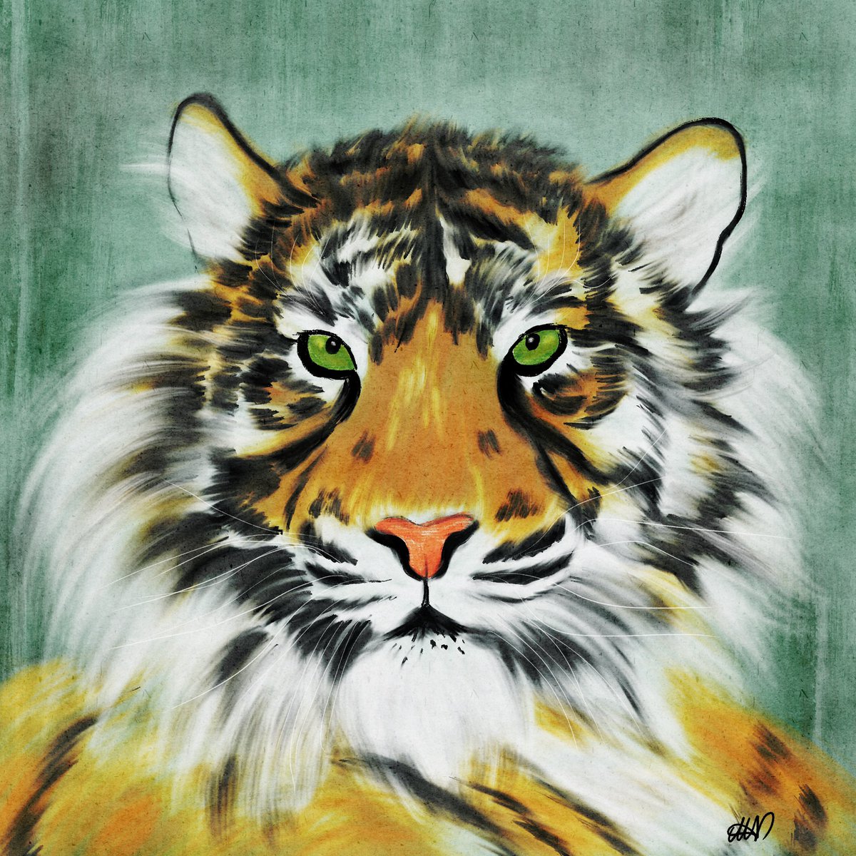 Maria_Vocaturo's tweet photo. I may have forgotten to post all of them, so here they are: my drawings for #endangeredanimalsweek 
#endangeredanimals #endangeredspecies #digitalillustration #artchallenge #illustrationart https://t.co/nQbDYPSbJu