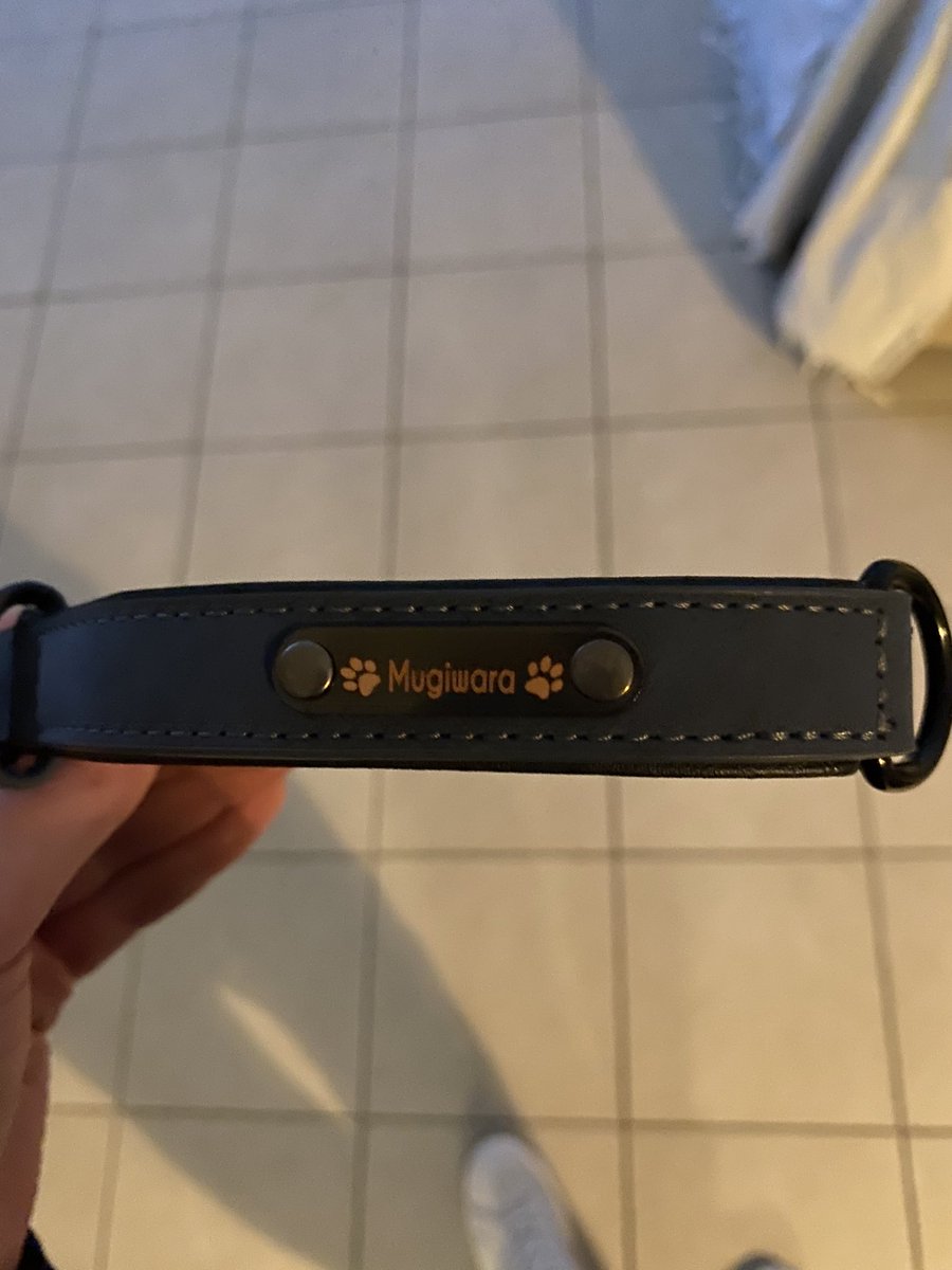 Est-ce que c’est Noël avant l’heure ?
Oui. 

Merci <a href="/LowAn/">Loann</a> et <a href="/_TeLoo/">TeLo</a> 

#CarryTonClebard