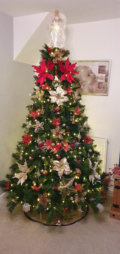 MrsNimmo's tweet photo. @thismorning @williamhanson I love my tree this year. Hope @williamhanson approves 😊 https://t.co/uqBCTCzpbh